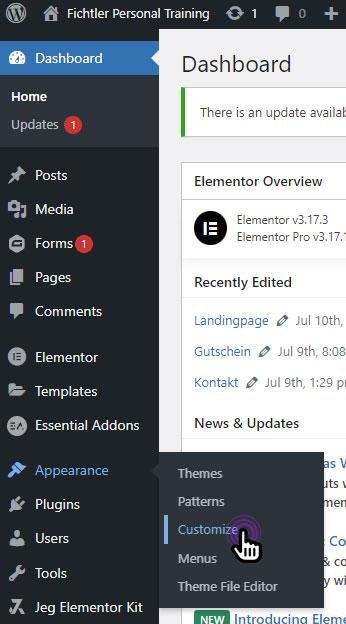 WordPress dashboard — Appearance menu with Customize option