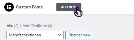 Custom Fonts page with the New Font button highlighted
