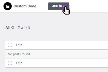 Custom Code page with Add New button